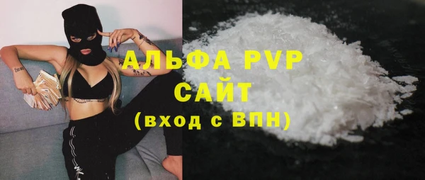 стафф Алексин