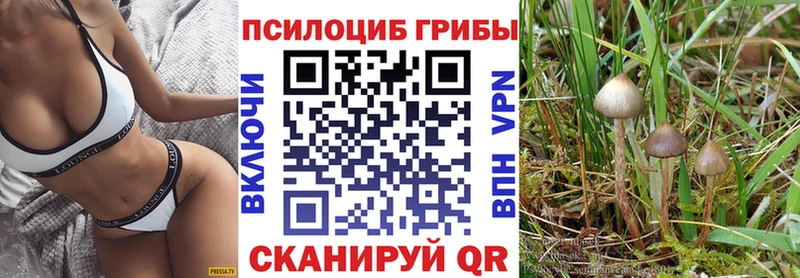 цена   Кингисепп  Псилоцибиновые грибы мухоморы 