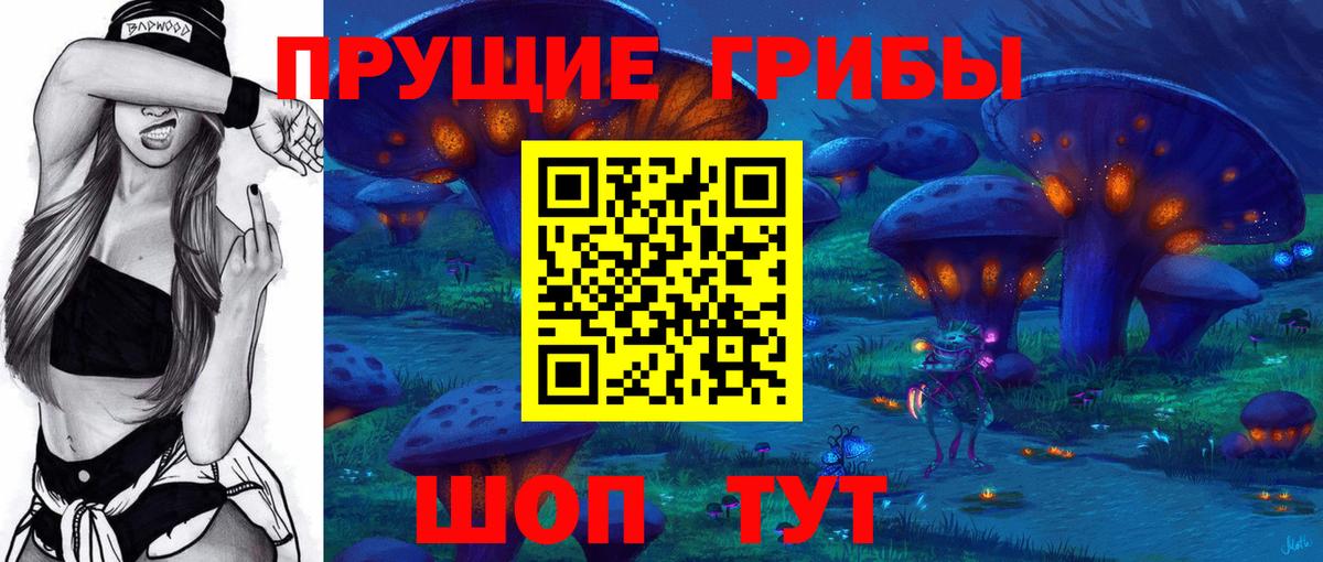 Кингисепп  Псилоцибиновые грибы прущие грибы  Галлюциногенные грибы Magic Shrooms  Вход с VPN 